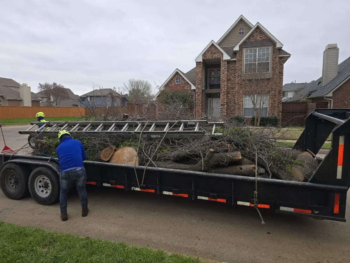 Expert Lot Clearing with proper safety equipment in Cheboygan
